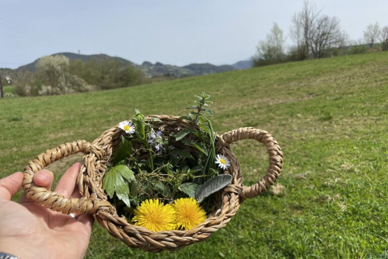 Frühlingskräuter